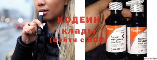 ГАЛЛЮЦИНОГЕННЫЕ ГРИБЫ Елабуга