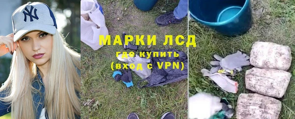 ГАЛЛЮЦИНОГЕННЫЕ ГРИБЫ Елабуга