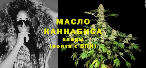 мяу мяу кристалл Ельня