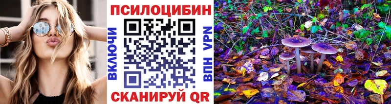 мега как зайти  Касимов  Галлюциногенные грибы мухоморы  наркошоп 