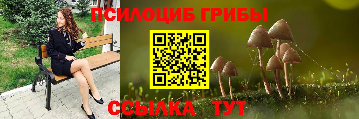 Касимов  Псилоцибиновые грибы Psilocybine cubensis  хочу наркоту  Галлюциногенные грибы мицелий  Вход с VPN 